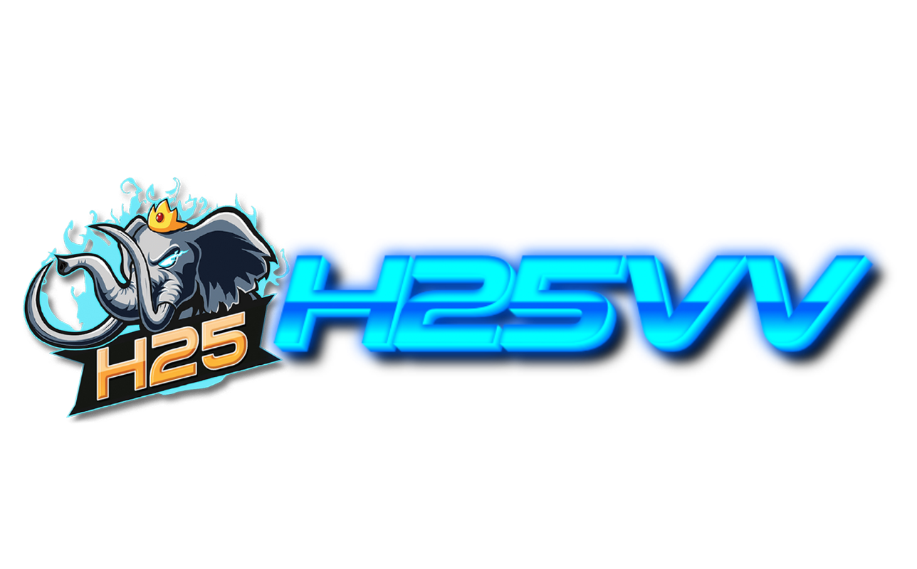 h25vv.net